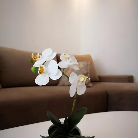 Opal City Center Free Parking Apartment